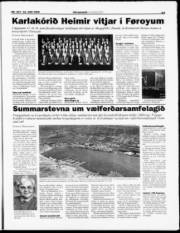 Síða 13