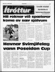 Síða 19