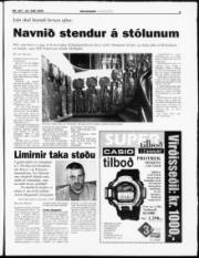 Síða 3