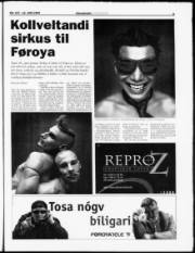 Síða 5