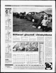 Síða 28