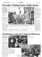 Síða 17