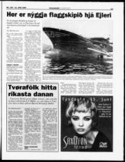 Síða 13
