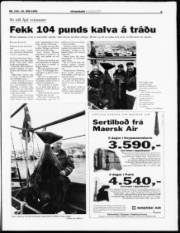 Síða 5