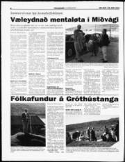 Síða 8