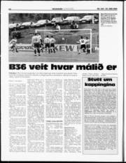 Síða 12