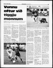Síða 13