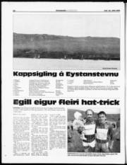 Síða 20