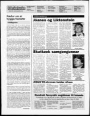 Síða 2