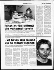 Síða 8