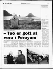 Síða 17