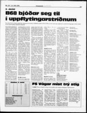 Síða 19