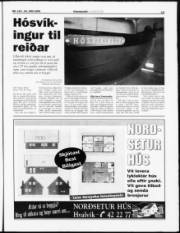 Síða 13