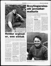 Síða 19