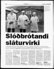 Síða 21