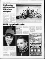 Síða 24