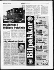 Síða 3