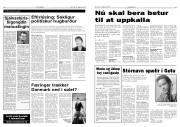 Síða 6