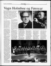 Síða 17