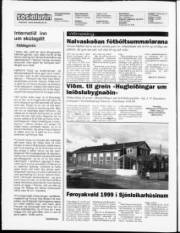 Síða 2