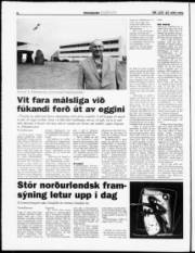 Síða 8