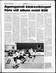Síða 17