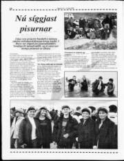Síða 17