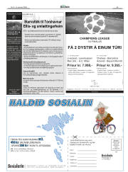 Síða 43