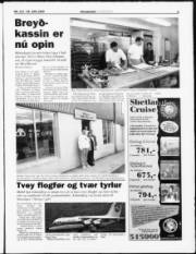 Síða 35