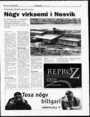 Síða 37