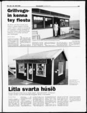 Síða 13