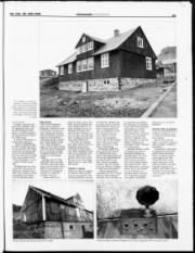 Síða 21