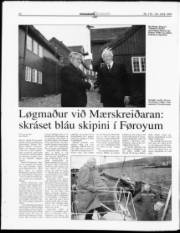 Síða 19
