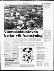 Síða 6
