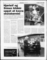 Síða 8