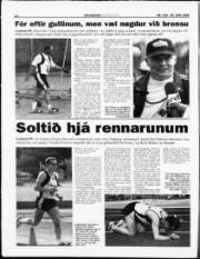 Síða 14