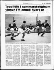 Síða 20