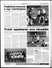 Síða 12