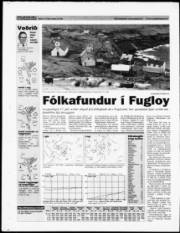 Síða 28