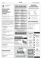 Síða 8