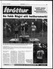 Síða 19