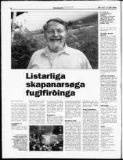 Síða 8