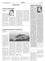 Síða 11