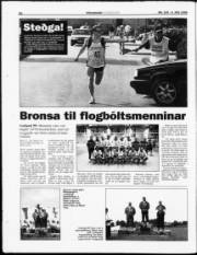 Síða 20
