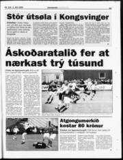 Síða 25