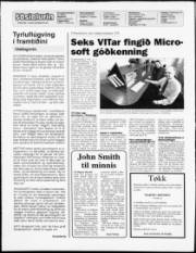Síða 2