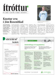 Síða 19