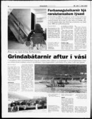 Síða 6