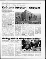 Síða 7