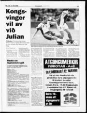 Síða 17